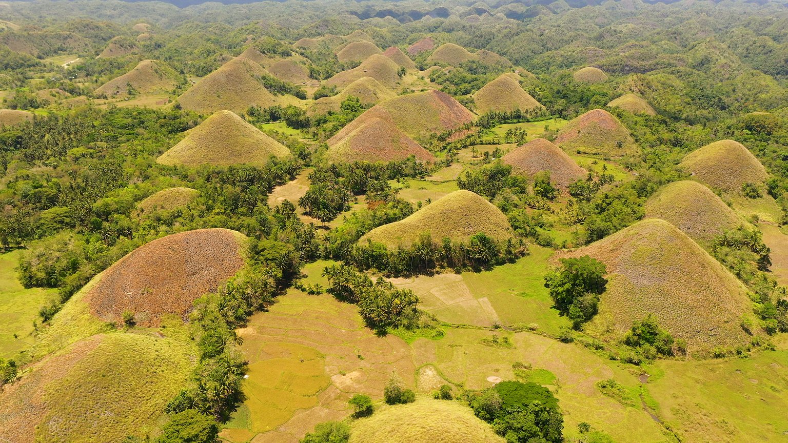 Chocolate hills.Bohol Philippines